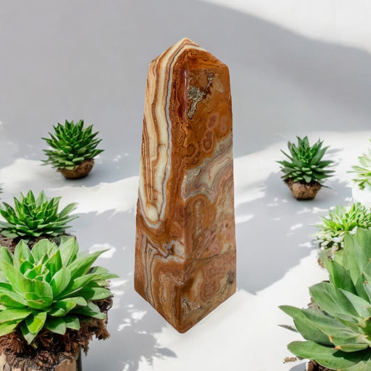 Pink Crazy Lace Obelisk 007