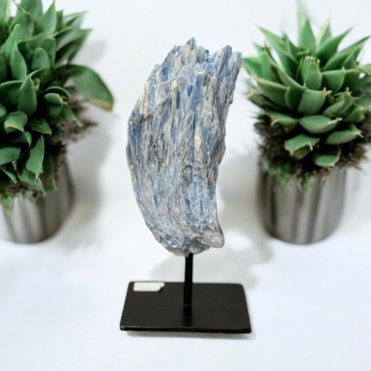 Blue Kyanite AAA+ Grade On Metal Stand