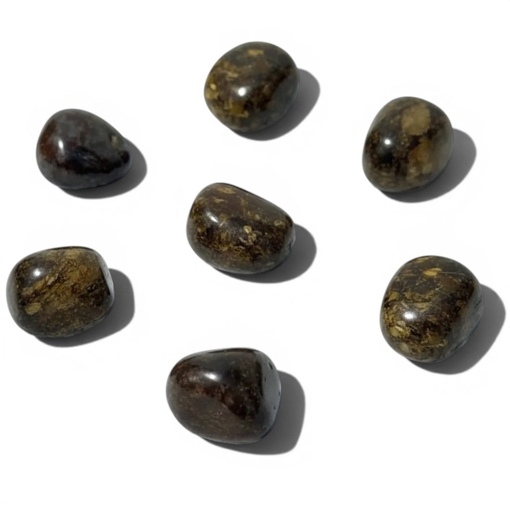Bronzite Tumble Crystals ~ Boosts Personal Power & Unshakable Self Belief