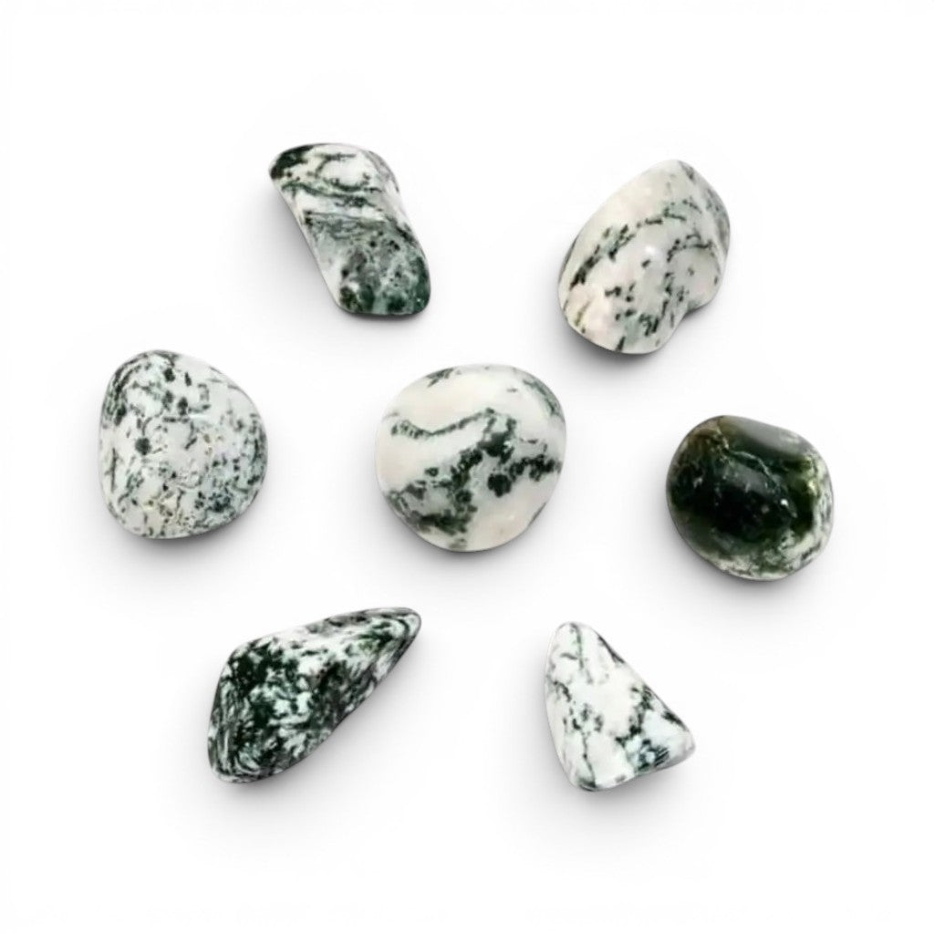 Tree Agate Crystal Tumble ~ Growth & Abundance