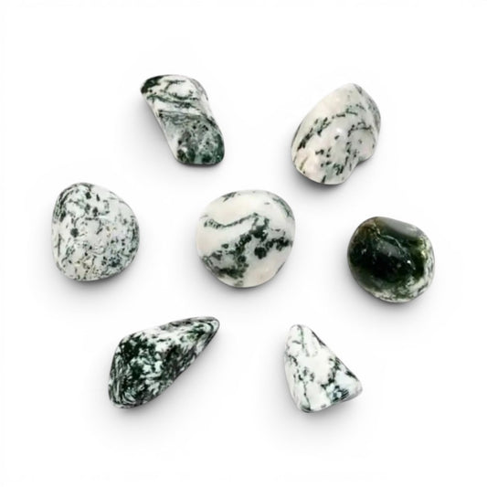 Tree Agate Crystal Tumble ~ Growth & Abundance