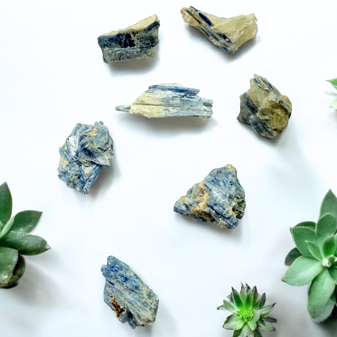 Blue Kyanite Roughs