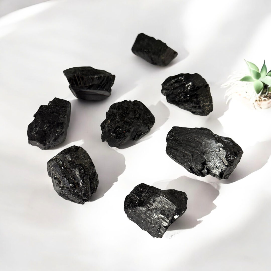 Black Tourmaline Rough Log ~ Shield/Protection
