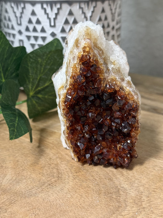 Citrine Geode - Standing Cut Base