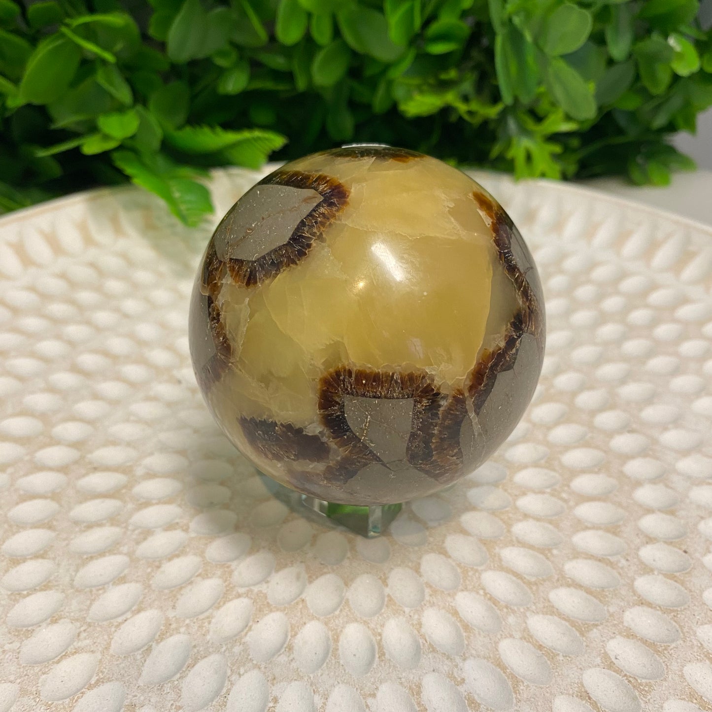 Septarian Crystal Sphere 004