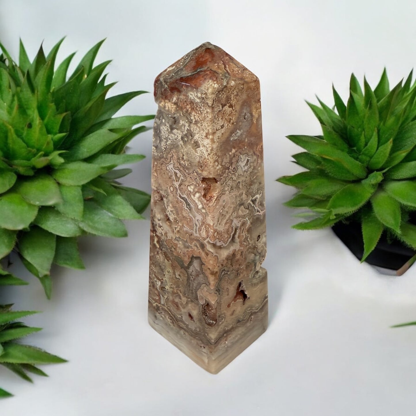 Pink Crazy Lace Obelisk 002