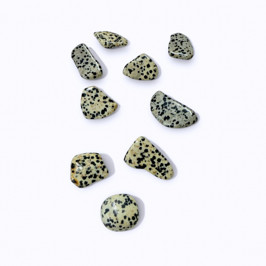 Dalmatian Jasper Crystal Tumble ~ Boosts Fun & Grounds Energy
