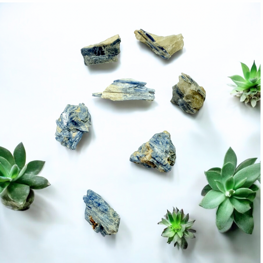 Blue Kyanite Roughs