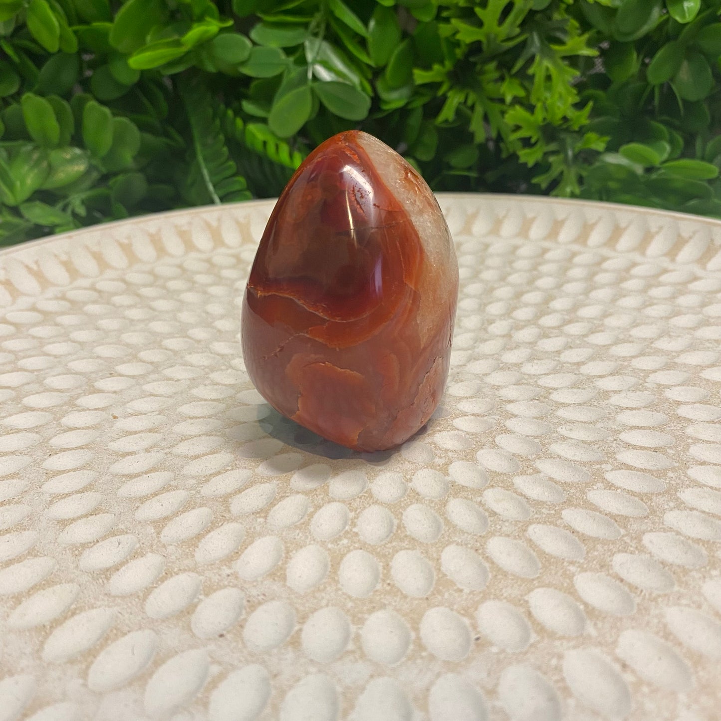 Carnelian Freeform 006
