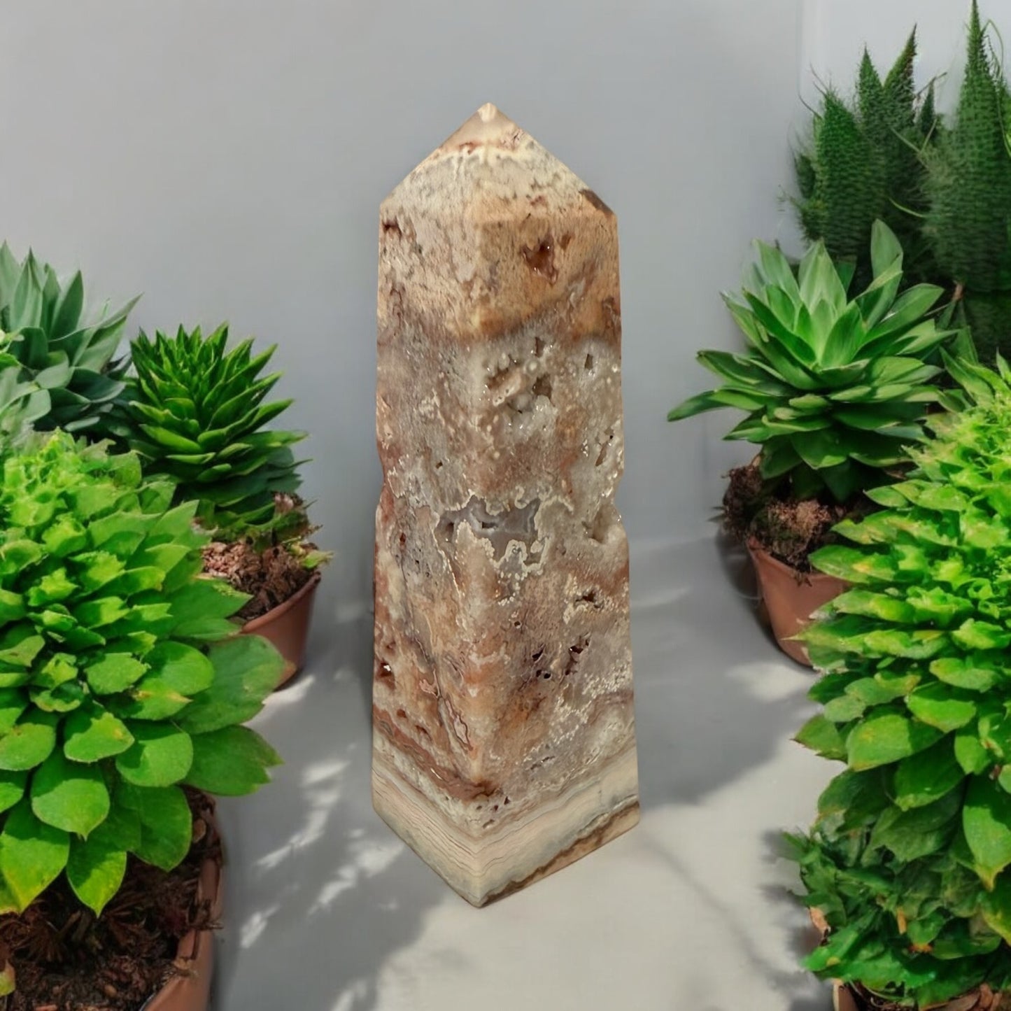 Pink Crazy Lace Obelisk 006