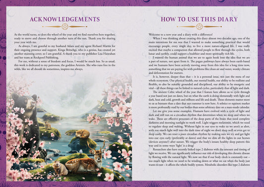 2026 LUNAR AND SEASONAL DIARY: SOUTHERN HEMISPHERE by Stacey Demarco