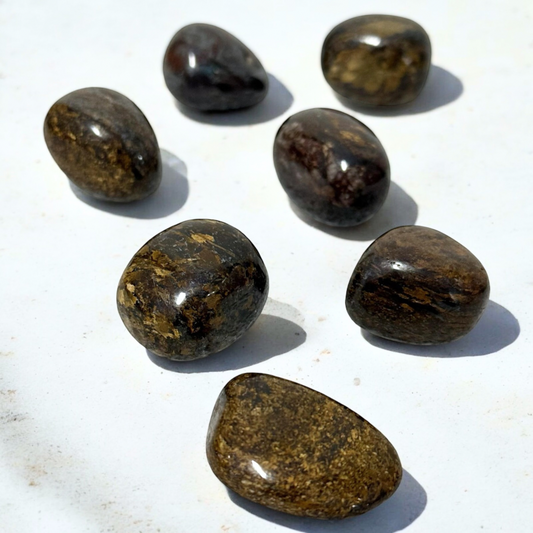 Bronzite Tumble Crystals ~ Boosts Personal Power & Unshakable Self Belief