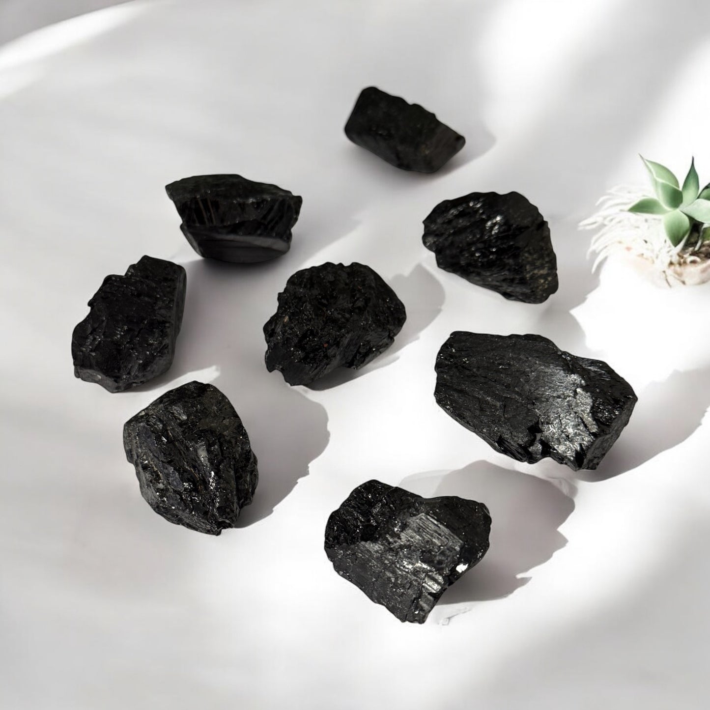 Black Tourmaline Rough Log ~ Shield/Protection