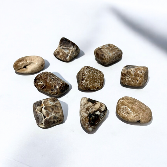 Chocolate Calcite Tumbles ~ Aids Anxiety & Stress