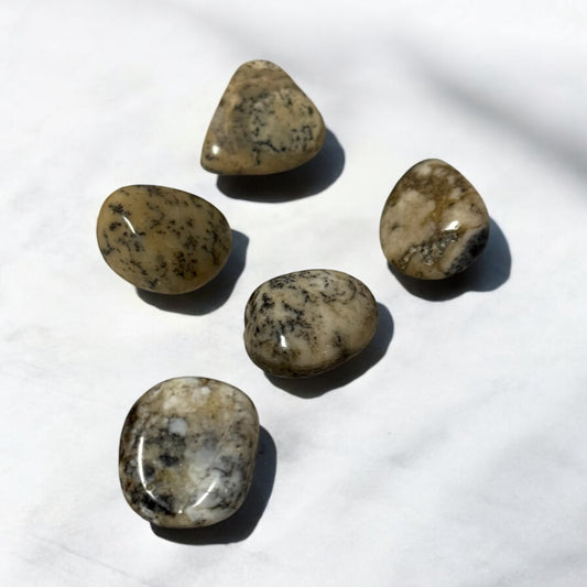 Dendritic Agate tumble ~ Business Growth & Personal Development