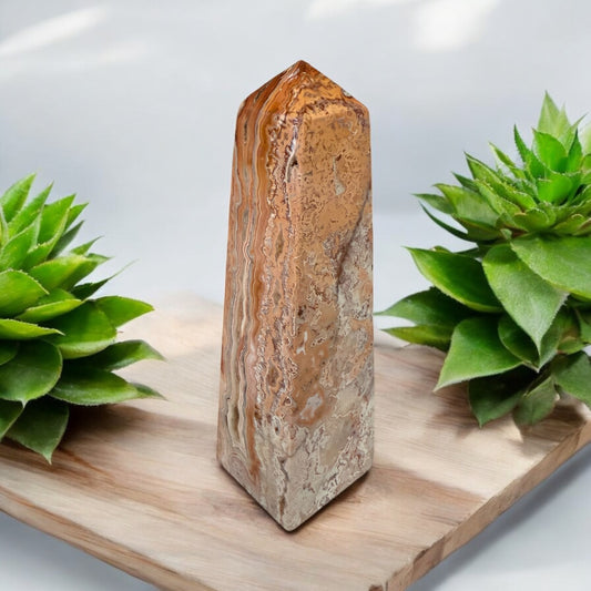 Pink Crazy Lace Obelisk 005