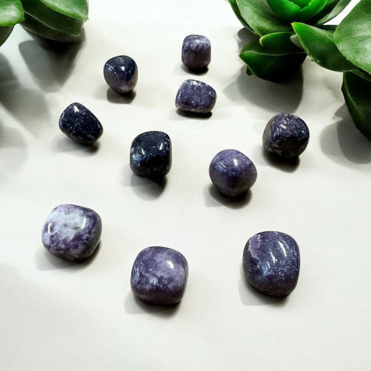 Lepidolite Crystal Tumble ~ Anxiety Relief & Balance