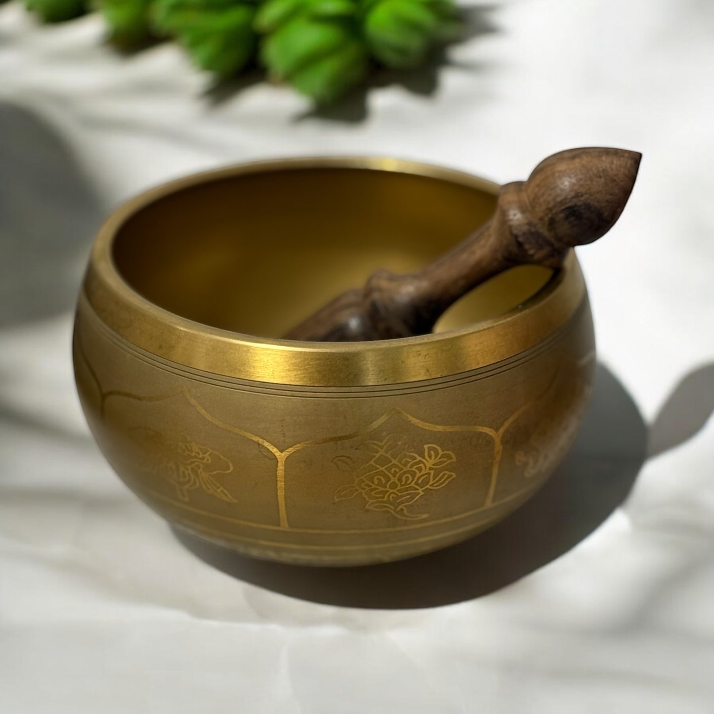 Brass Singing Bowl Tibetan