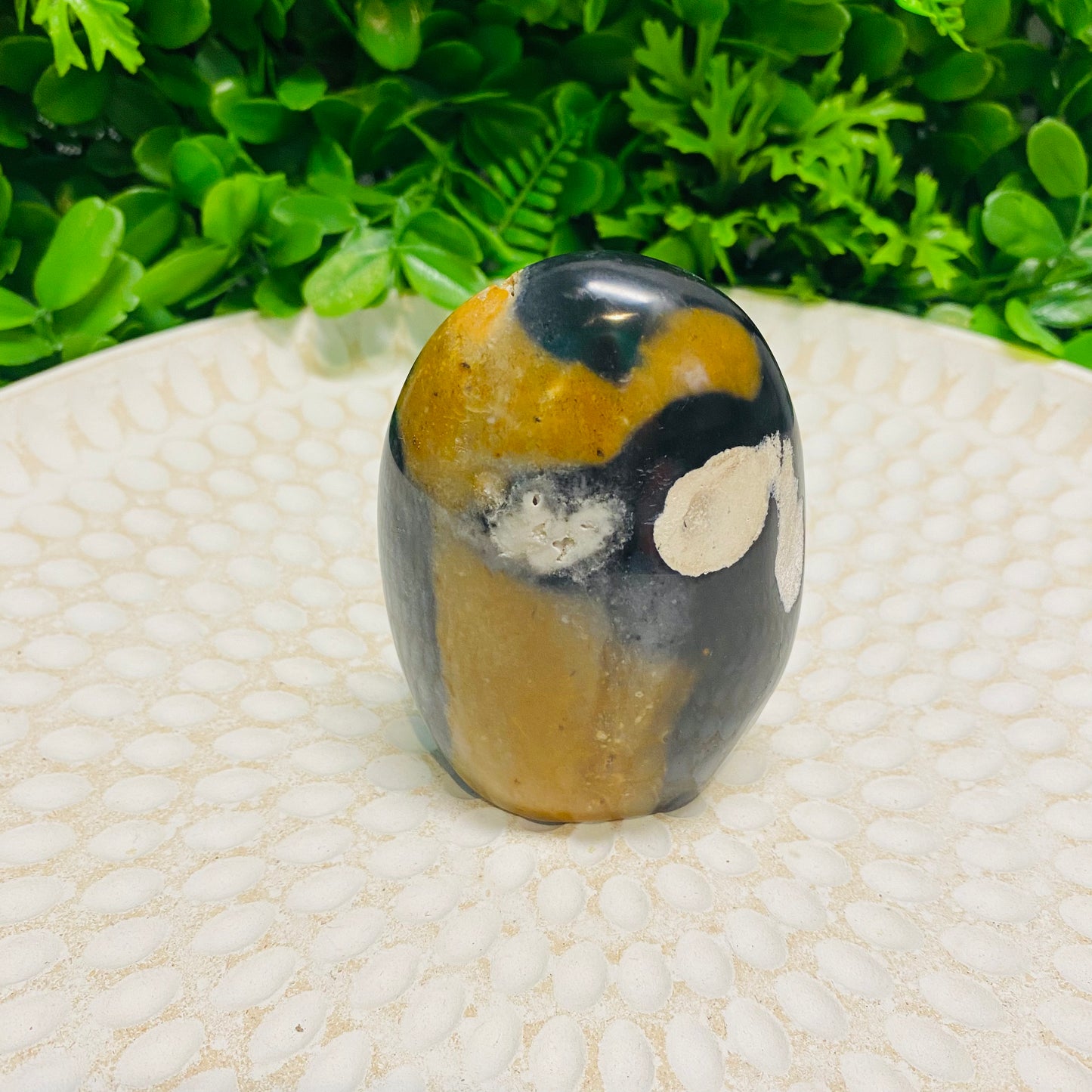 Pumpkin Jasper Freeform 001