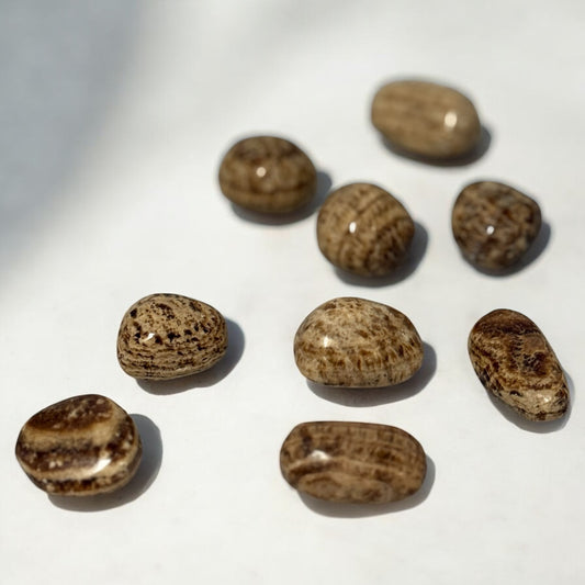 Brown Aragonite Tumble ~ Grounding Energy & Clarity in Decisions
