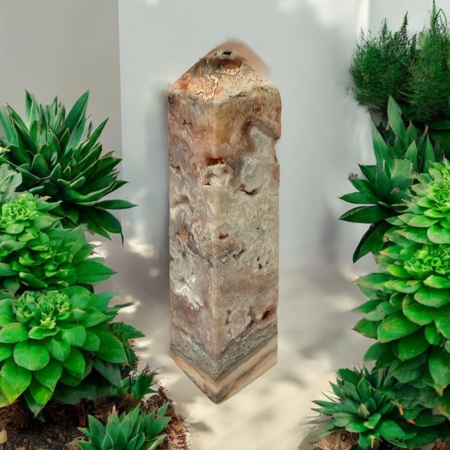 Pink Crazy Lace Obelisk 008