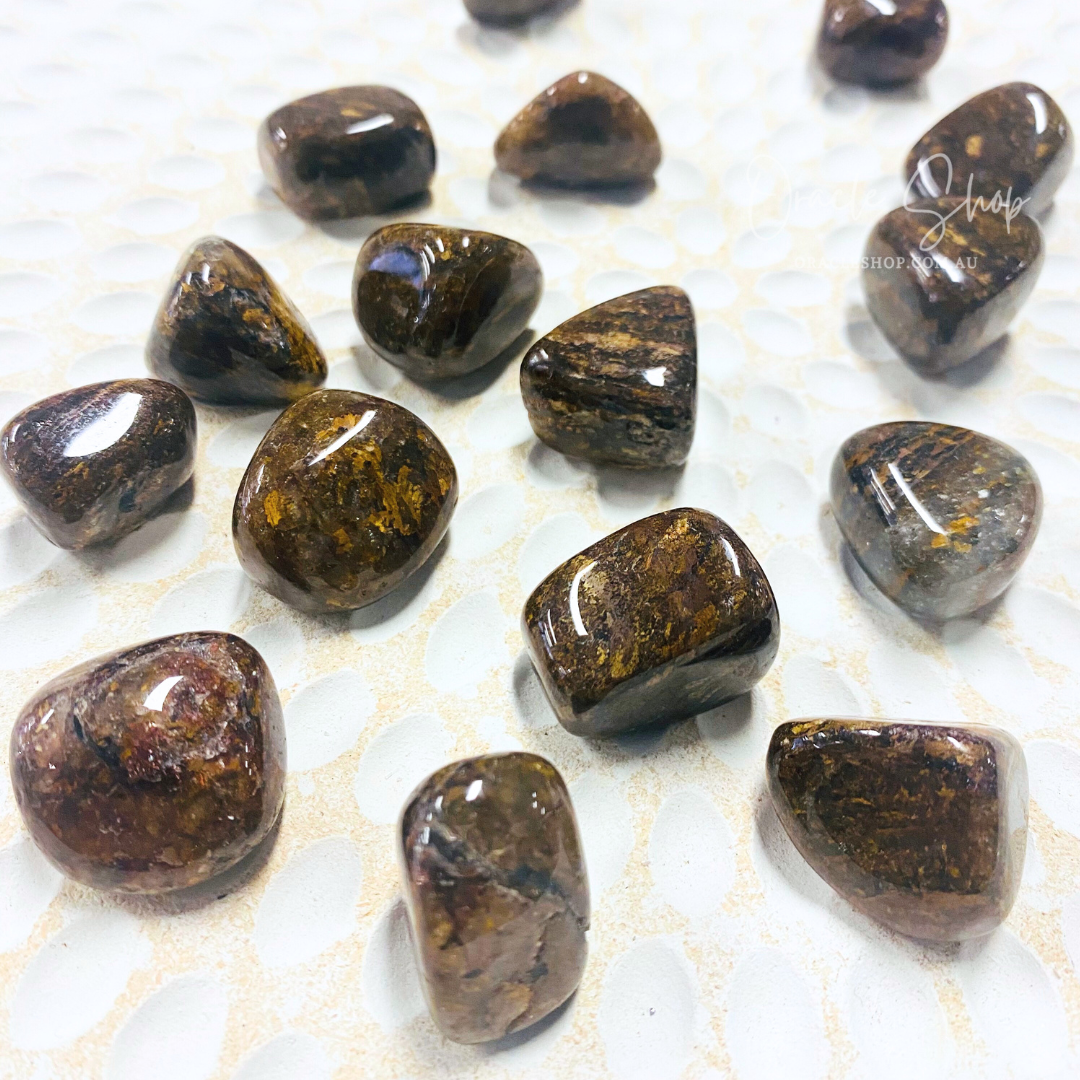 Pietersite Tumble Crystals ~ Change & Courage