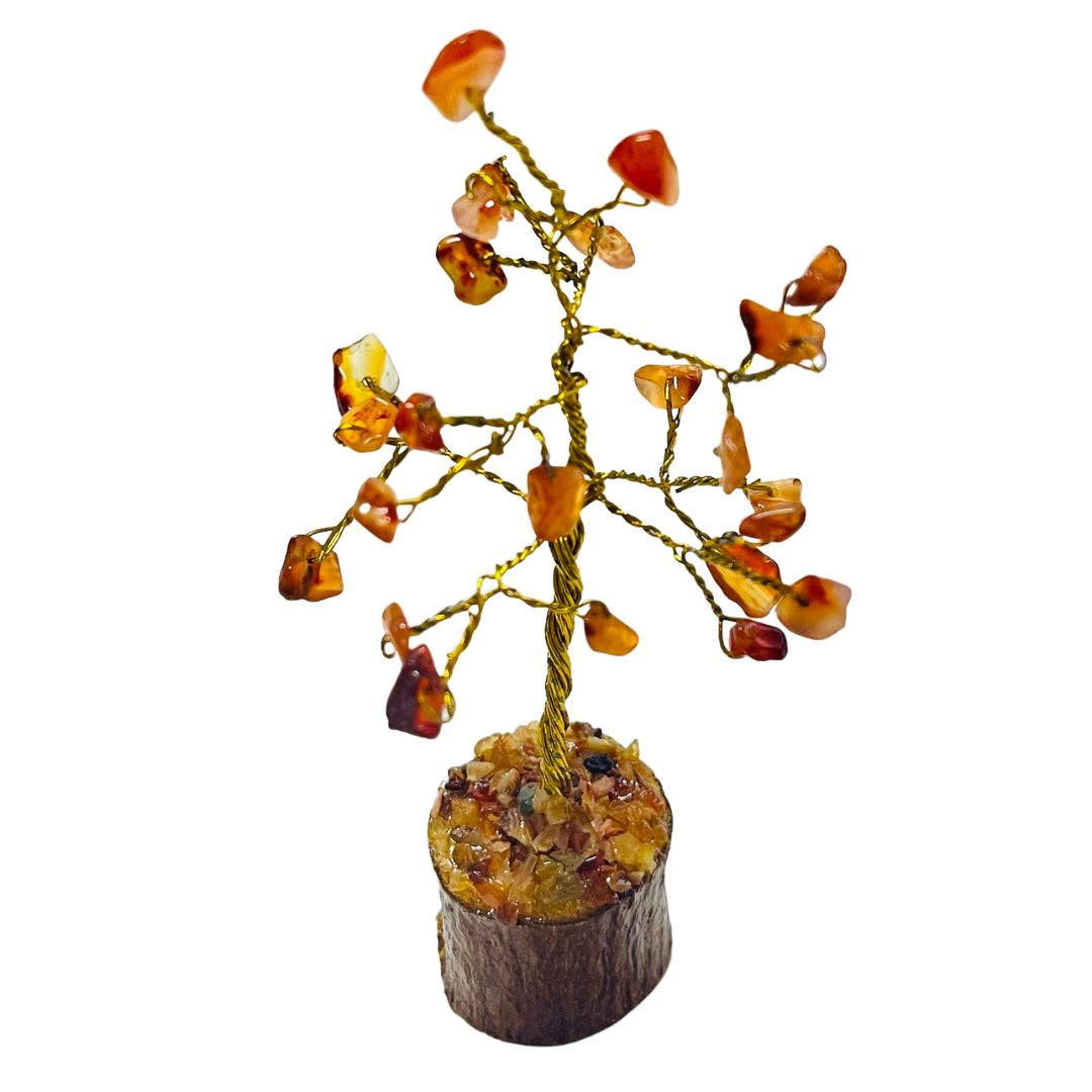 Carnelian Crystal Medium Tree Wood Base
