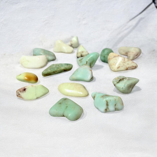 Chrysoprase Tumbled Crystals ~ Heart Healer & Boosts Love Energy