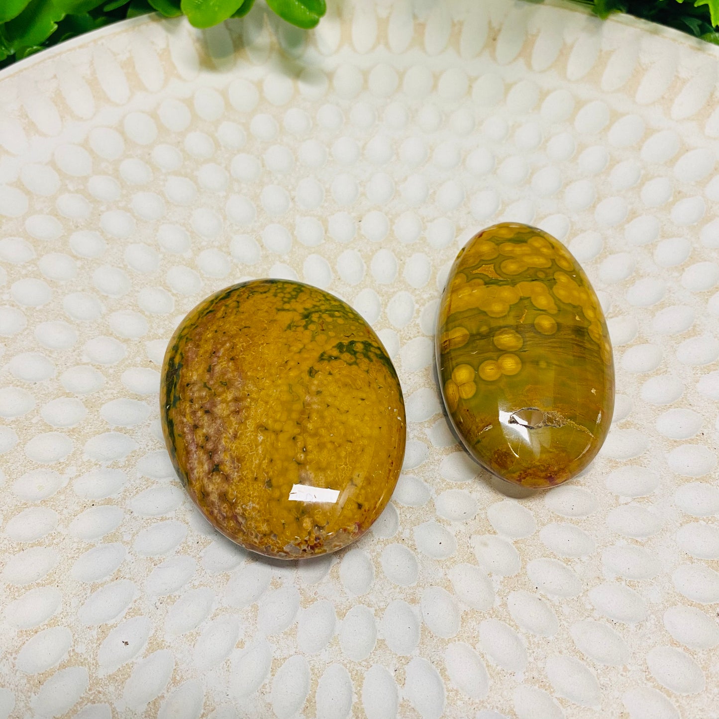 Rainforest Jasper Palm Stones