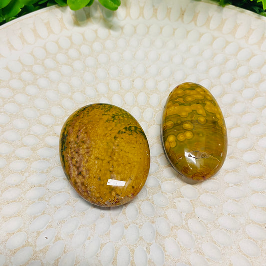 Rainforest Jasper Palm Stones