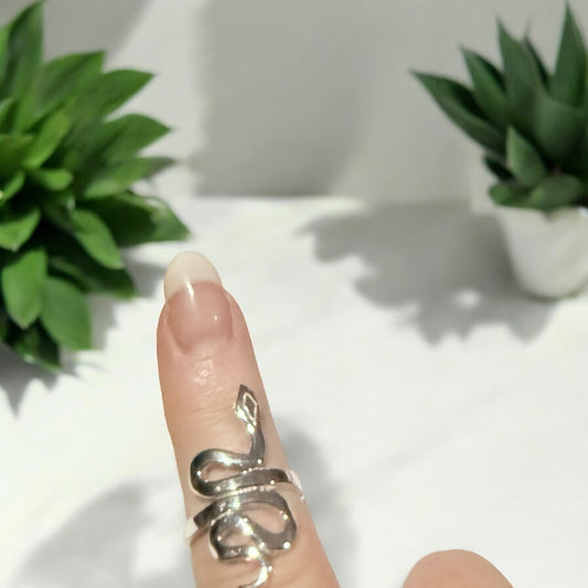 Snake Ring in Silver