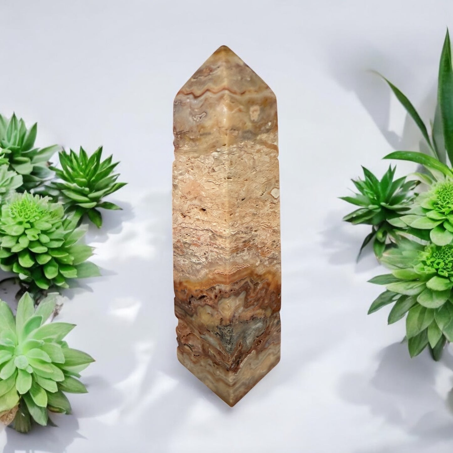 Pink Crazy Lace Obelisk 001