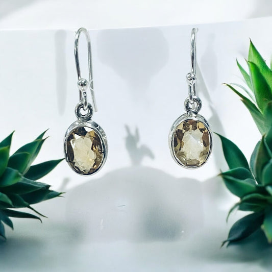Silver earrings with yellow gemstones on a white background with green plants.