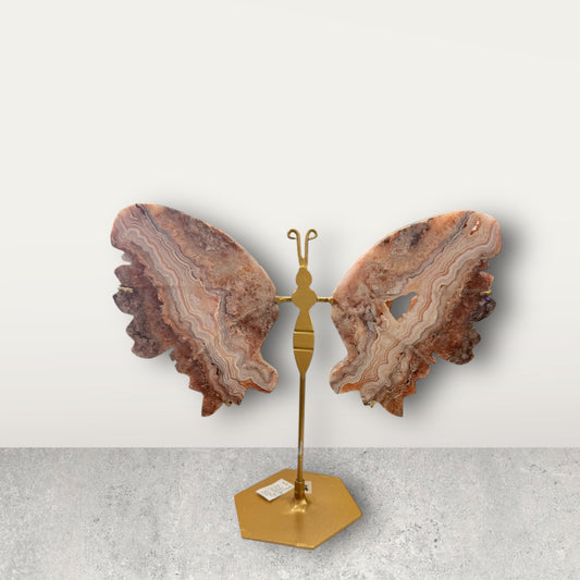 Pink Crazy Lace Agate Butterfly Wings on Stand 21