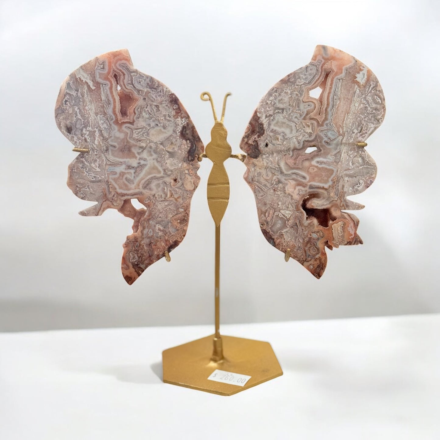 Pink Crazy Lace Agate Butterfly Wings on Stand 22
