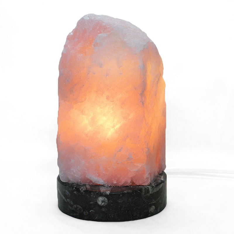 Rose Quartz Rough Lamp with Ancient Fossil Orthoceras Base