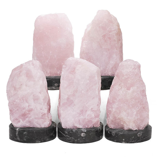 Rose Quartz Rough Lamp with Ancient Fossil Orthoceras Base