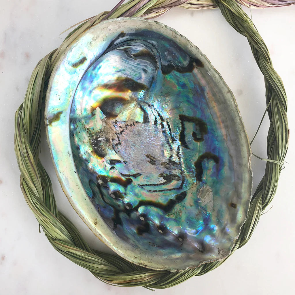 Abalone Shells - Natural Polished