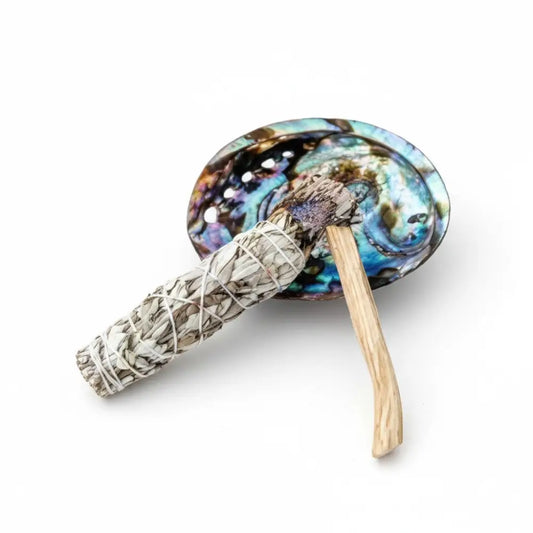 Abalone Shells - Natural Polished smudge