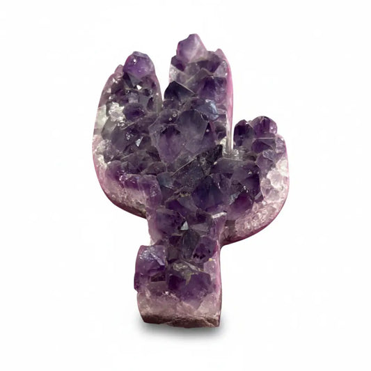 Amethyst Druze Cactus amethyst druze
