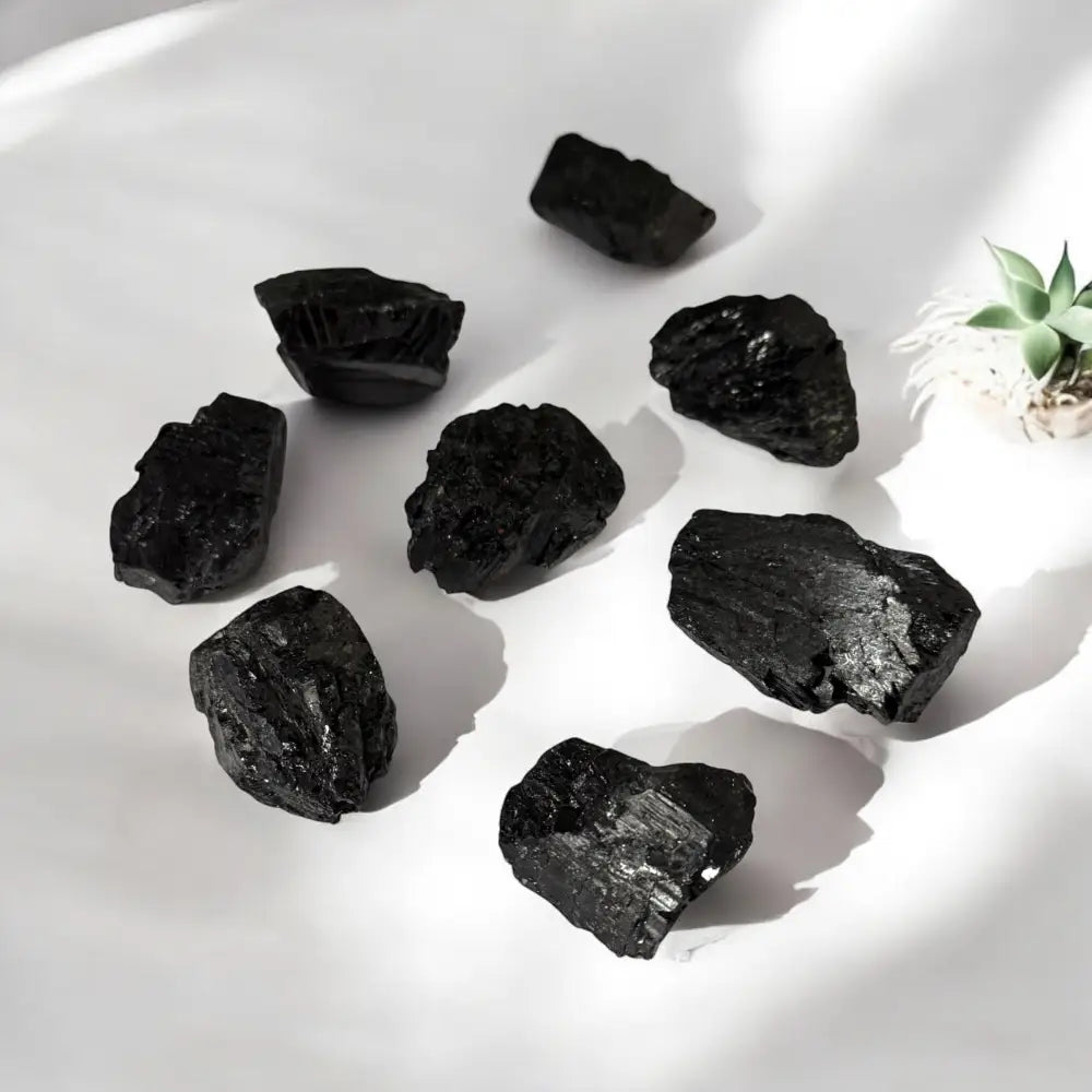 Black Tourmaline Rough Rod ~ Shield/Protection Crystal rough