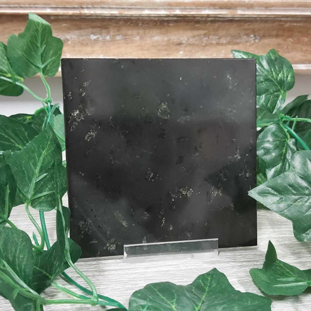 Black Tourmaline Charging Plates