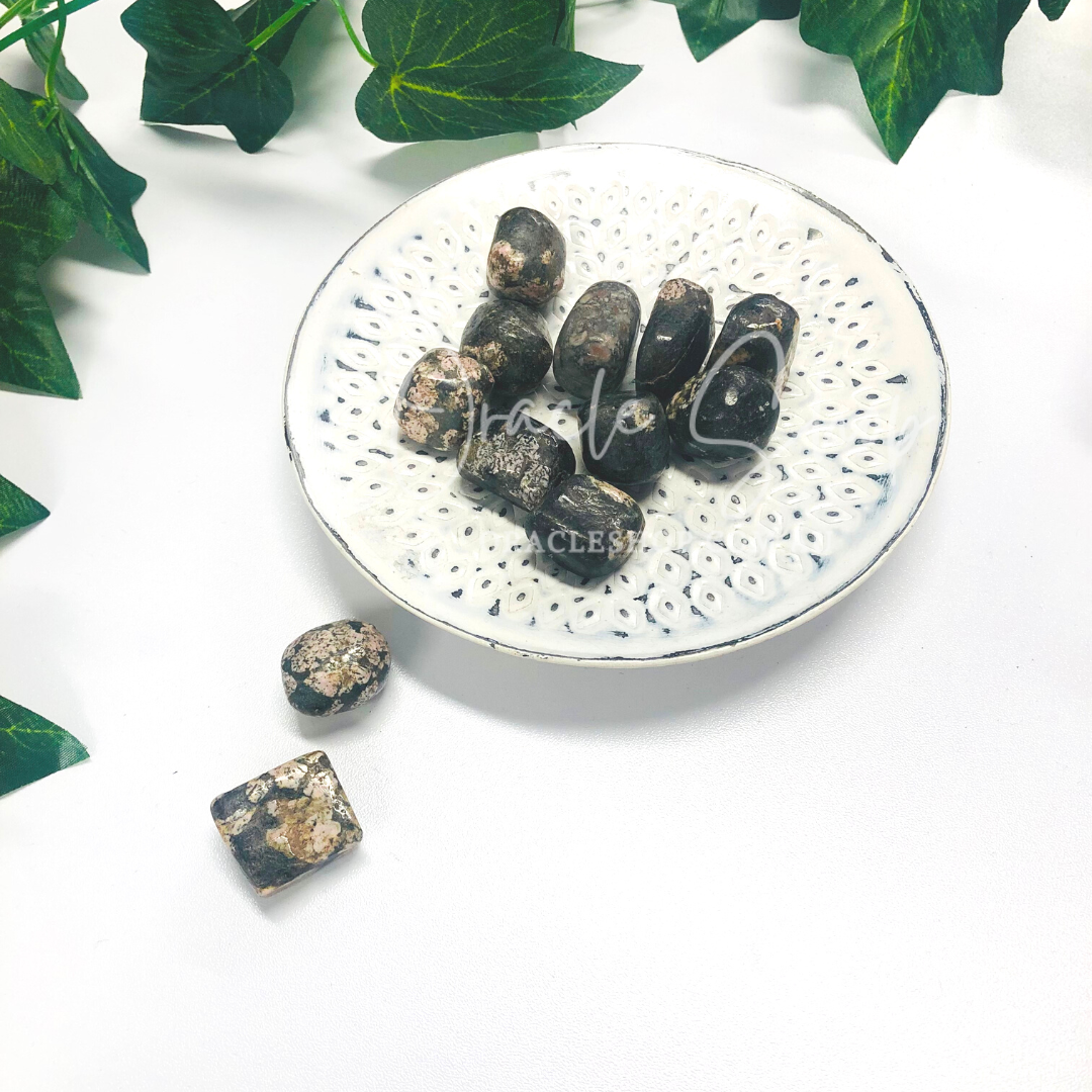 Plum Blossom Agate Tumbles ~ Resilience & Transition