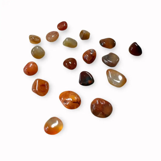 Carnelian Tumbled Crystal ~ Confidence Booster & Revitalises Small tumble