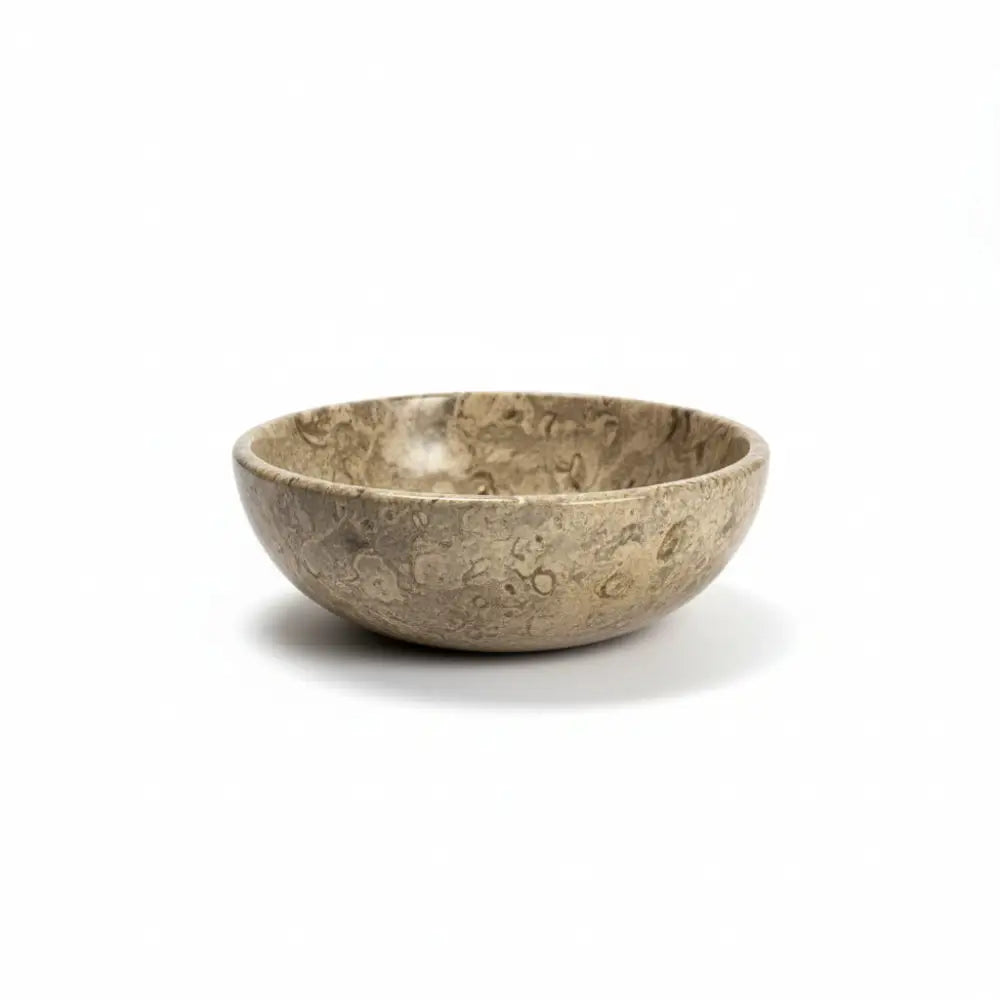Coral Fossil Crystal Bowls fossil bowl
