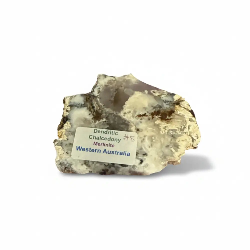 Dendritic Agate Slice Crystal slice