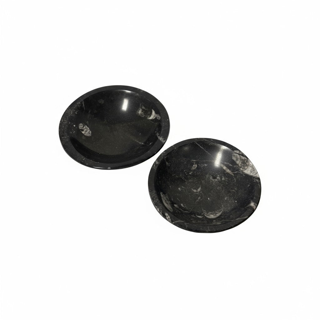 Orthoceras Fossil Bowls