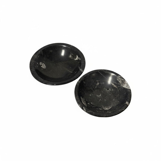 Orthoceras Fossil Bowls