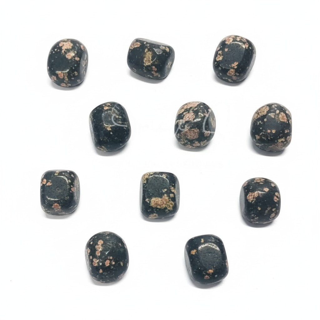 Plum Blossom Agate Tumbles ~ Resilience & Transition