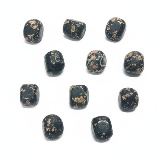 Plum Blossom Agate Tumbles ~ Resilience & Transition